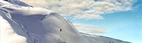 Heliski