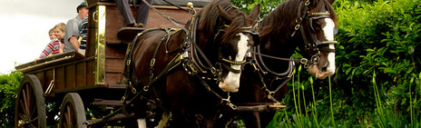 Häst--and--vagn