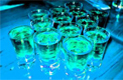 Tequilaprovning